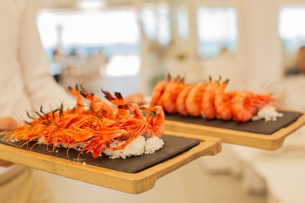 483850527_1175703604564943_3992068268232823647_n