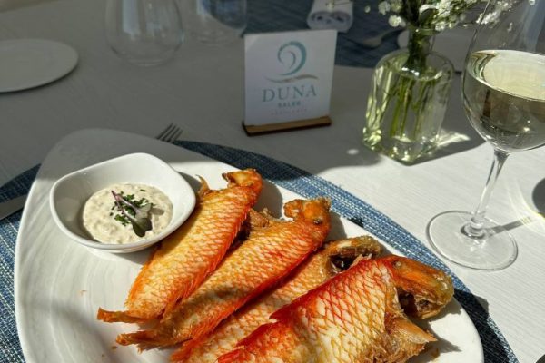 487380151_1191755542959749_6934972562294732848_n