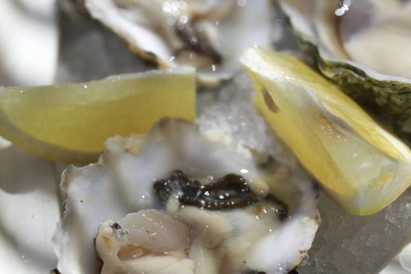 489032002_1199933542141949_3563253942927260851_n