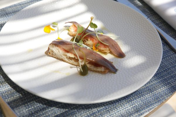 491413068_1206800721455231_3996808099727208726_n